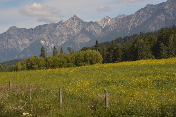 countryside 